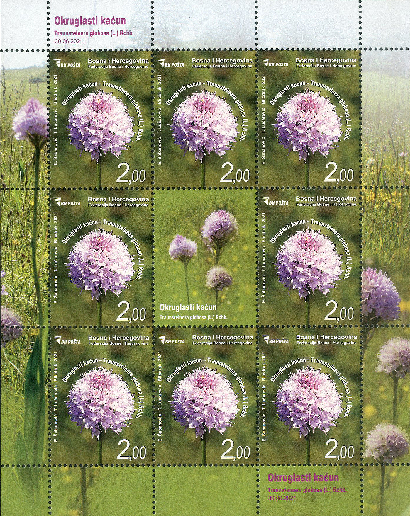 a-special-postage-stamp-flora---round-orchida
